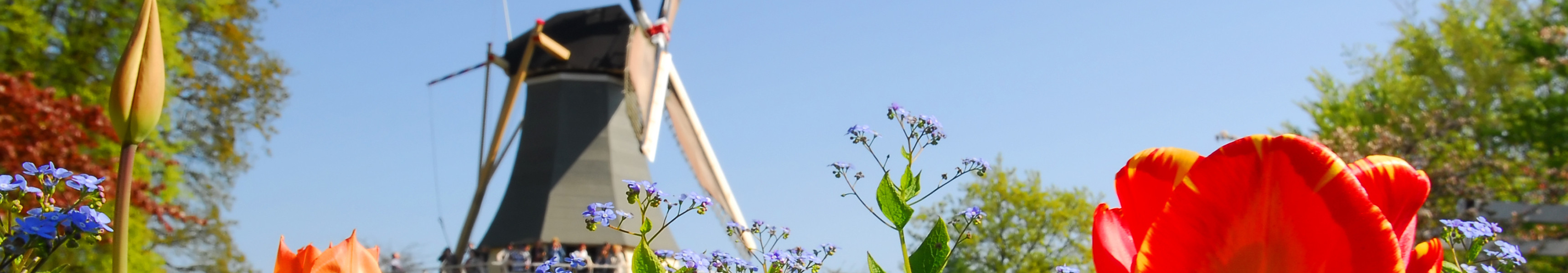 Kings Day in den NIederlanden 