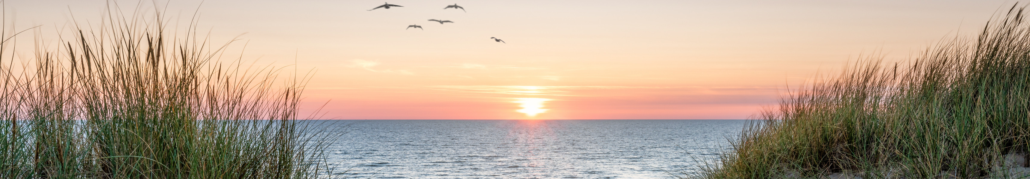 Sonnenuntergang am Strand mit D&uuml;nen und fliegenden M&ouml;wen an der Ostsee