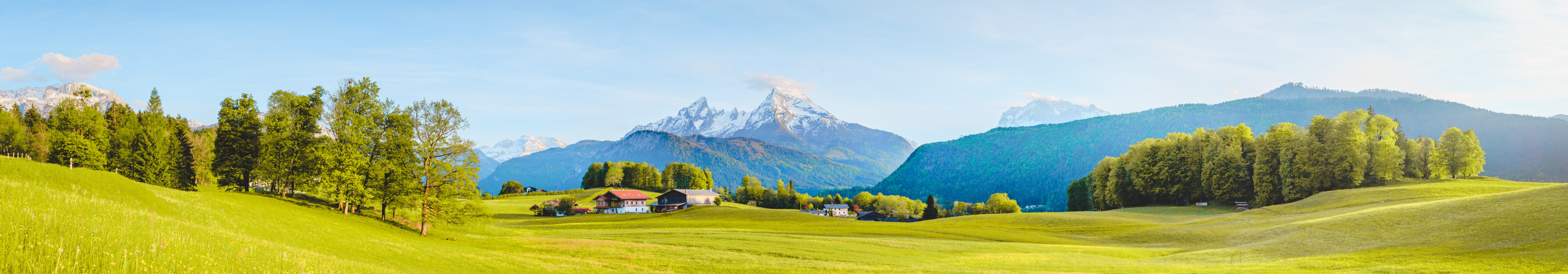 Gr&uuml;ne Wiese mit Bauernh&auml;usern vor schneebedeckten Alpen im Sonnenschein.