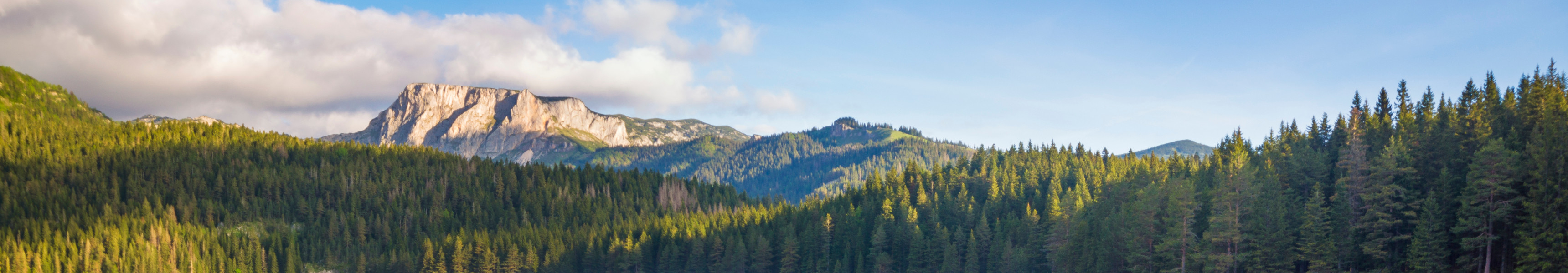Ruderboote am h&ouml;lzernen Steg auf dem Schwarzen See (Crno jezero) im Durmitor-Nationalpark, Montenegro, umgeben von dichten W&auml;ldern und Bergen im Hintergrund.