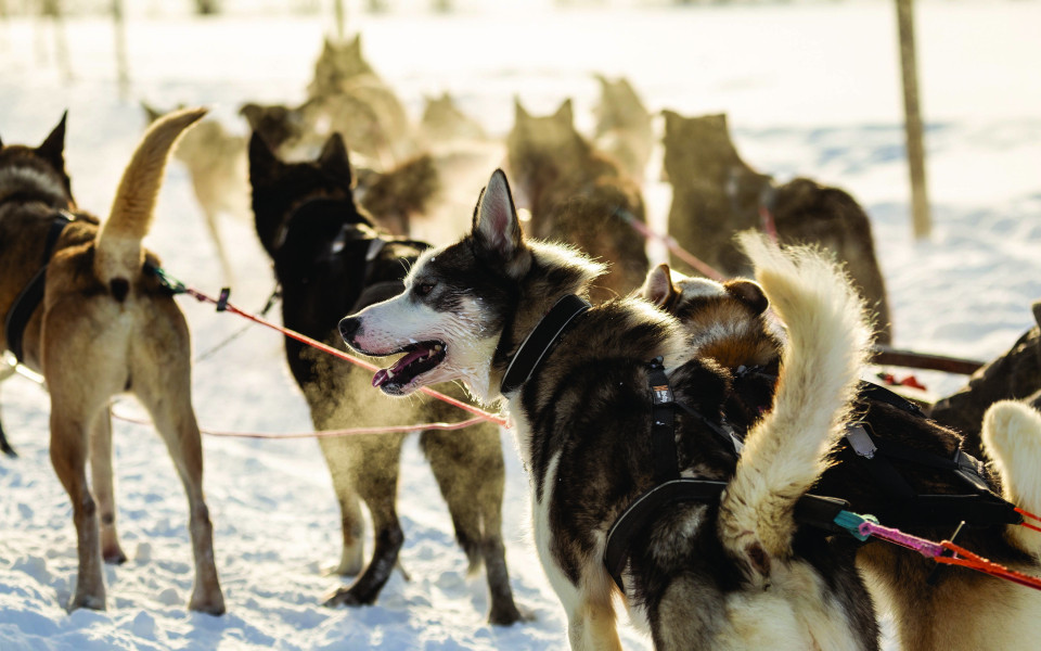 Majest&auml;tische Landschaften erleben