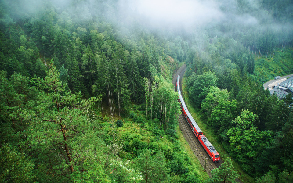 Zug durch den Schwarzwald, in sanfte Wolken geh&uuml;llt