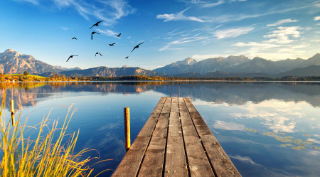 AdobeStock_281032511